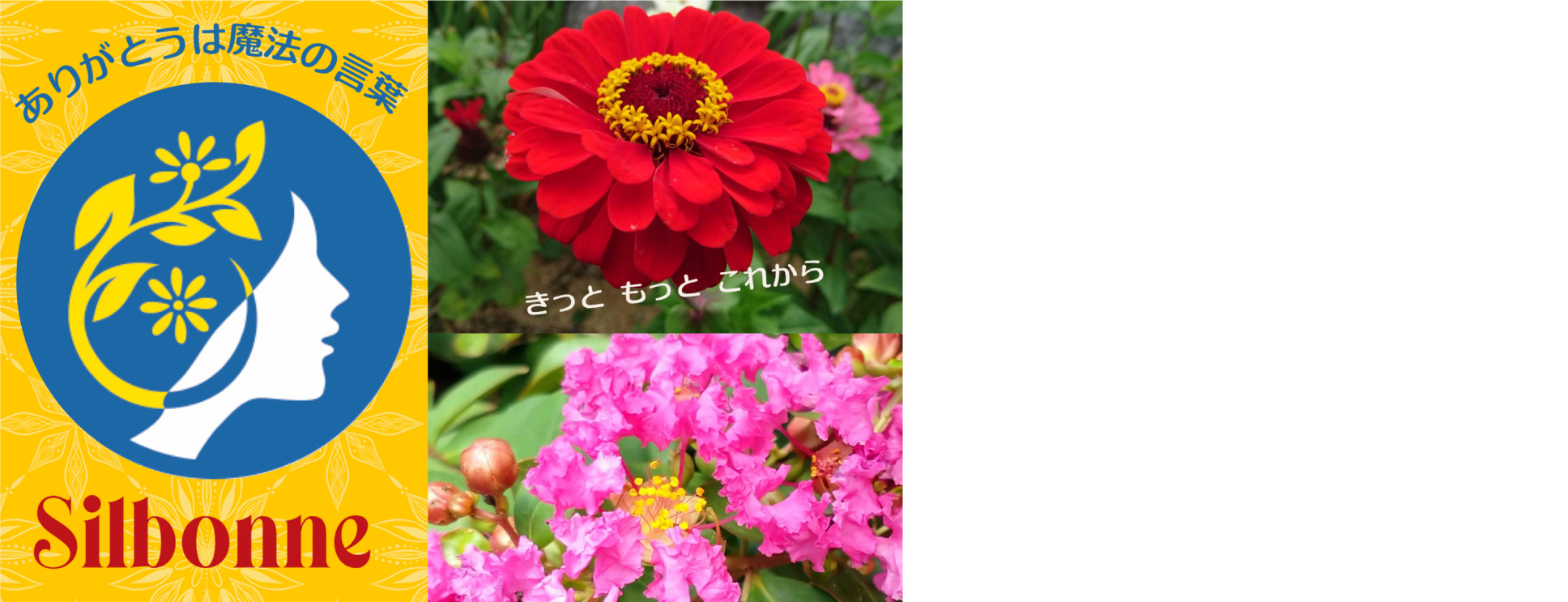 02ありがとうは魔法の言葉